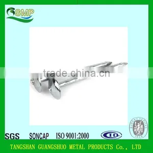 Umbrella Head Twist/Screw/smooth Shank Roofing Nails With Washer thumbnail-4