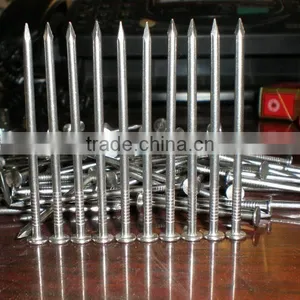 Stainless Steel Concrete Nail thumbnail-1