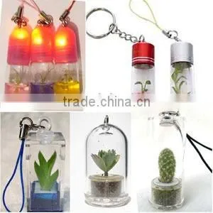 Plant Pet Tree and Mini Plant Key Chain thumbnail-1