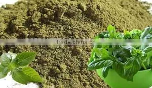 TULSI POWDER EXTRACT thumbnail-2