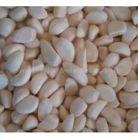 Frozen Garlic thumbnail-1