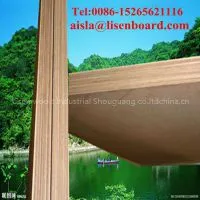 Marine Waterproof Container Plywood Floor, ISO Apitong Container Plywood thumbnail-1