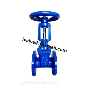 DIN F4 Rising Stem Gate Valve thumbnail-1