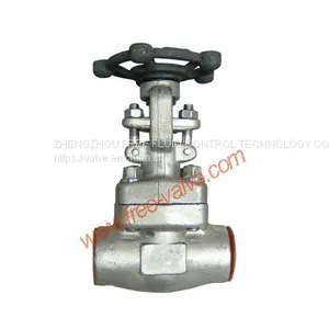 Forged Steel Globe Valve thumbnail-1