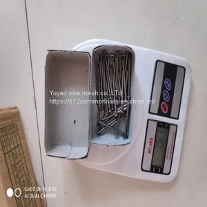 8d 10d 12d Shank Common Nails thumbnail-5