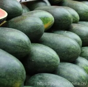 Watermelon F1 Hybrid Sweet Melon Seeds Fruit Seeds No.89 thumbnail-1