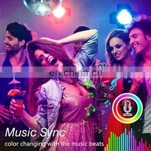 Smart Remote Controller Led Strip Light FPC TV Backlight Strip Light RGB 5 Meter Strip Light thumbnail-4