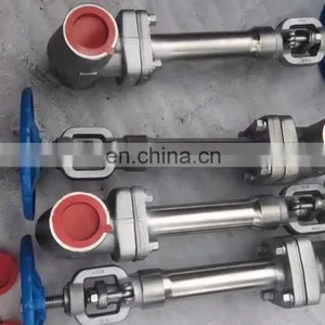 Cryogenic Oxyogen Liquid Used Extension Globe Valve Globe Valves for Water Oil Gas Flanges End LF2 Materials thumbnail-5