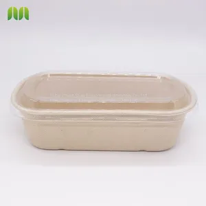 New Hot Disposable Biodegradable Single Compartment Salad Box Bagasse Food Box Take Away Sugarcane Container thumbnail-4