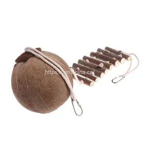 Natural Coconut Bird House Parrots Parakeet Conures Cockatiel Multi Species Applied Humming Outdoor Coconut Shell Bird House thumbnail-2