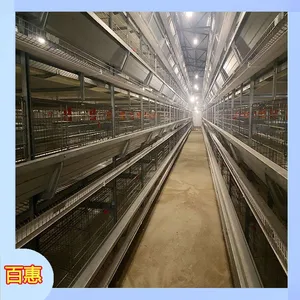 Fully Automatic Meat Chicken Cage thumbnail-1
