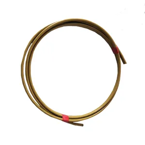 Energy-Efficient Self-Regulating Heating Cable With Automatic Temperature Control for Roof Deicing Systems thumbnail-1
