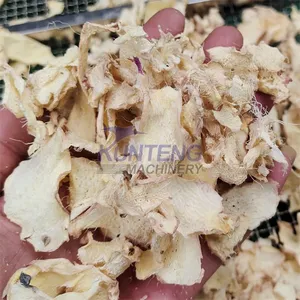 Ginger Drying Line Ginger Slicer Mesh Belt Dryer Machine Washing Cutting Line EPC thumbnail-1