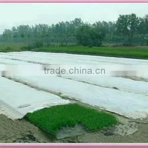Non-woven Frost Protection Fleece Factory thumbnail-1