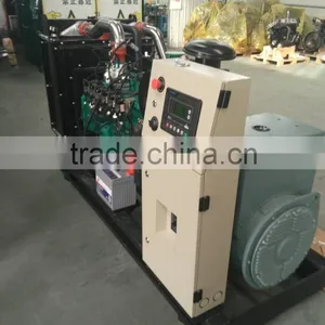 EAPP Brand Biogas Engine Generator LY6CG120KW 120kw thumbnail-1