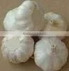 New Crop 2013 Chinese Fresh Garlic thumbnail-1