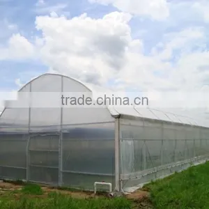 High Quality Plastic Greenhouse Film With Different Specification thumbnail-2
