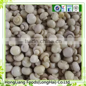 New Season Preseved Mushroom in 50kg Drum thumbnail-1