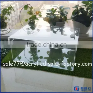 Factory Directly Acrylic Shoe Box Sneaker / Acrylic Shoe Display Box With Logo thumbnail-1