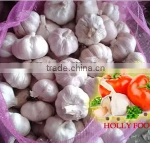 3.5kg Mesh Bag White Pure White Fresh Garlic ASEAN Southest Asia Middle East Arabic Pakistan 5.0 5.5 6.0 cm thumbnail-1