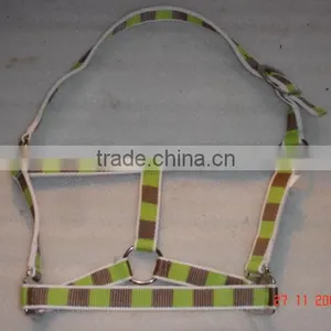 Halter thumbnail-1