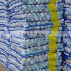 China Cheap Garlic thumbnail-1