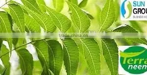 Pure Natural Neem Oil thumbnail-4