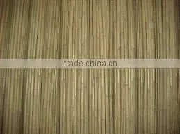 Bamboo Poles for Garden Plant From Vietnam thumbnail-4