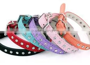 Dog Collar thumbnail-1