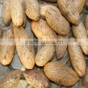High Quality Paphia Nuts thumbnail-2