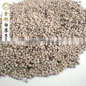 Perilla Seed for Birds/white Perilla Seed for Sale Supplier's Choice thumbnail-4