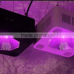 Hydroponic Plants Growing Lights 200w Cob Led for Greenhouse thumbnail-6