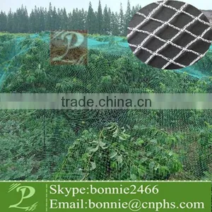 Plastic Bird Netting for Agricultural thumbnail-1