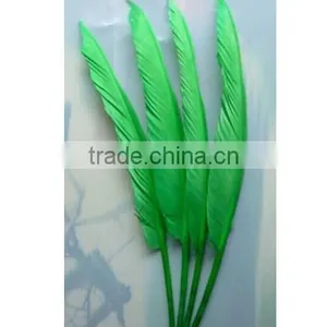 Natural Humpback Feathers 30-40cm 12-16inches thumbnail-2