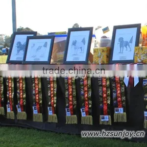 Show Ribbon thumbnail-1