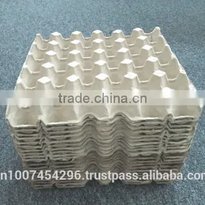 EGG TRAY thumbnail-4