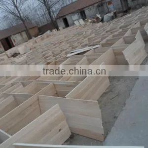 Timber Wood Paulownia thumbnail-1