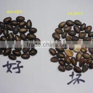5000+pixel 2016 Pepper Color Sorter With Fast Detection and High Identification Rate,pepper Grading Machine thumbnail-6