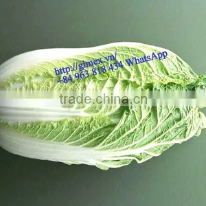 FRESH CHINA CABBAGES thumbnail-4