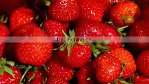 Strawberry thumbnail-1