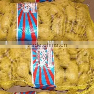 2015 Holland Potato Farms From Shandong Province Export to Dubai thumbnail-6