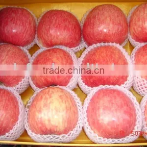 Chinese Fresh FUJI Apples thumbnail-1