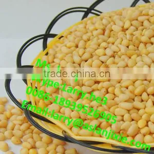 Pine Cone Peeler Machine/pine Cone Skin Peeling Machine/automatic Pine Cone Peeler thumbnail-5