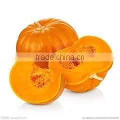 No Roated Refined Cold Pressed Pumpkin Seed Oil for Man thumbnail-3