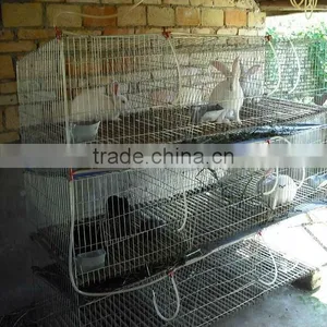 Wire Mesh Cage for Rabbits thumbnail-1