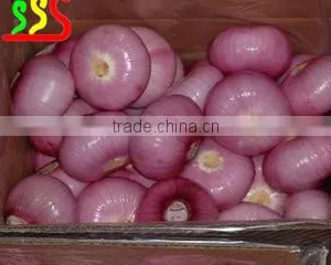 2015 Good Type Industrial Onion Peeling Machine thumbnail-2