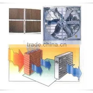Evaporative Cellulose Paper Wet Pad Cooling System for Greenhouse thumbnail-4