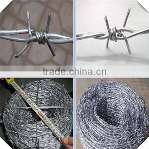 High Quality Galvanized Barbed Wire Factory / Barbed Wire Price thumbnail-6