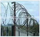 Barbed Iron Wire thumbnail-1