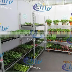 251Seedling Trolleys thumbnail-3